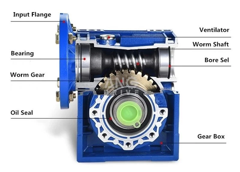 Worm Gear Reducer structure Worm Gear Reducer structure