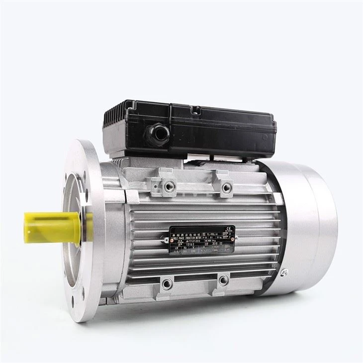 Asynchronous Motor
