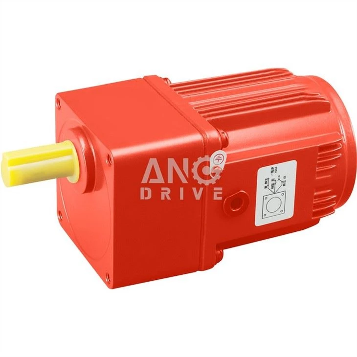 Biomass Boiler Motorgear