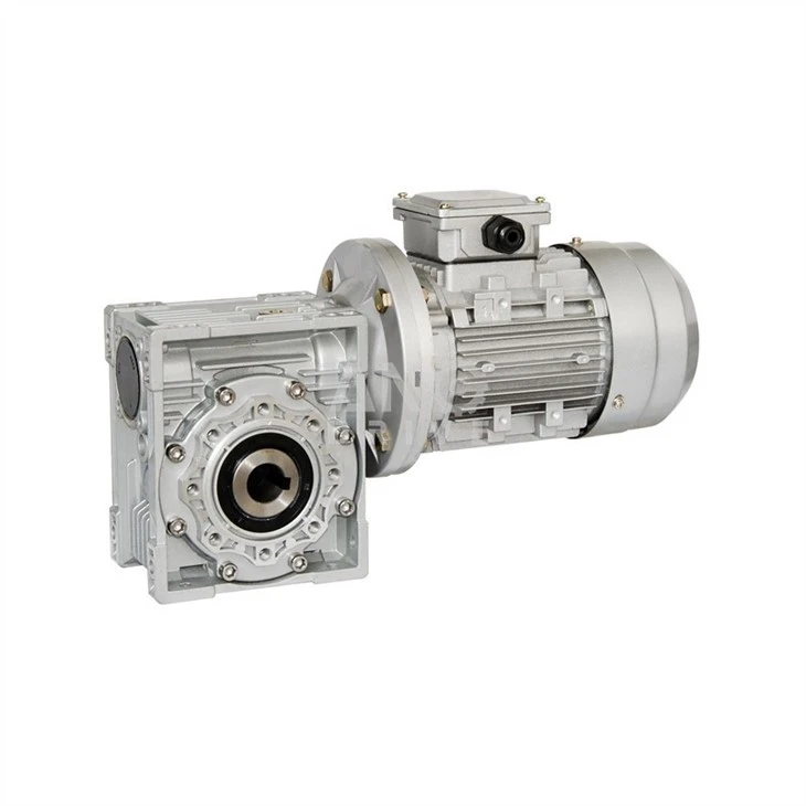 conveyor gear motor