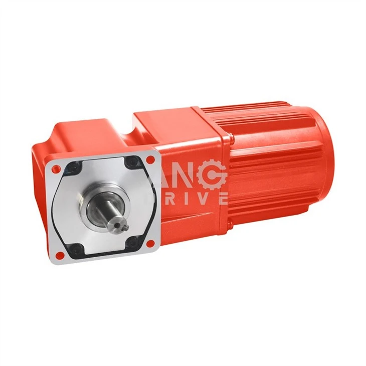 conveyor gear unit